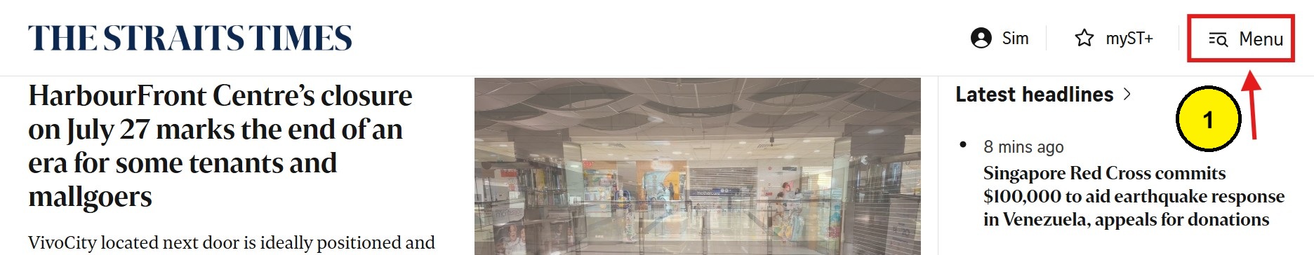 Straits Times search page